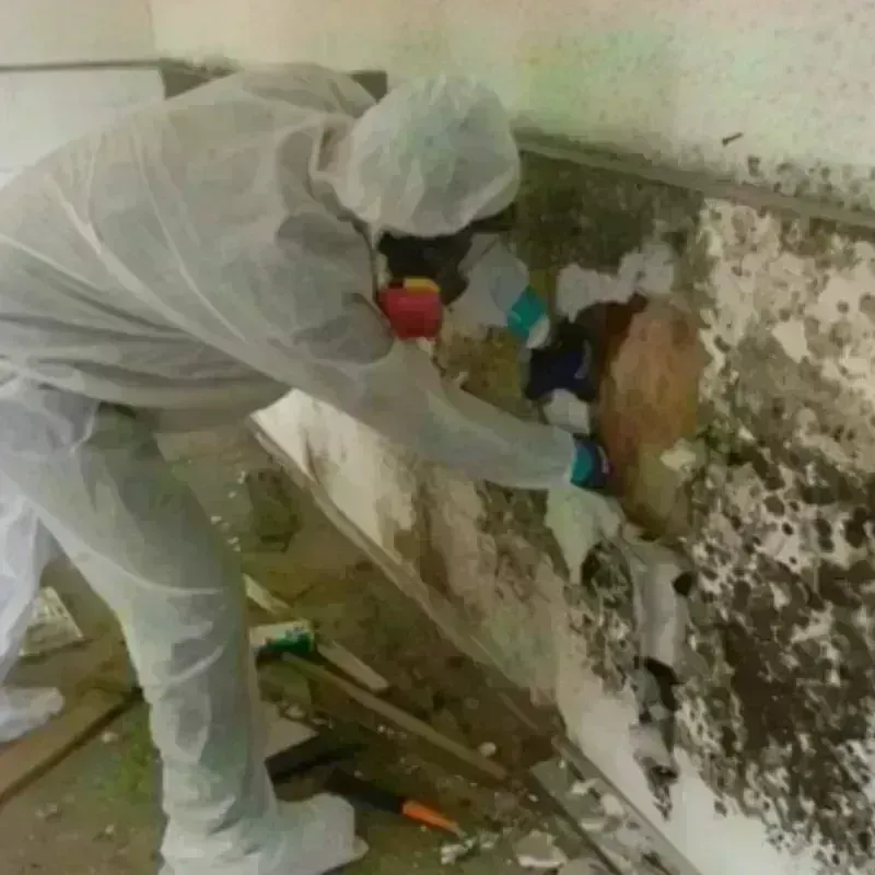 Mold Remediation and Removal in Wickenburg, AZ